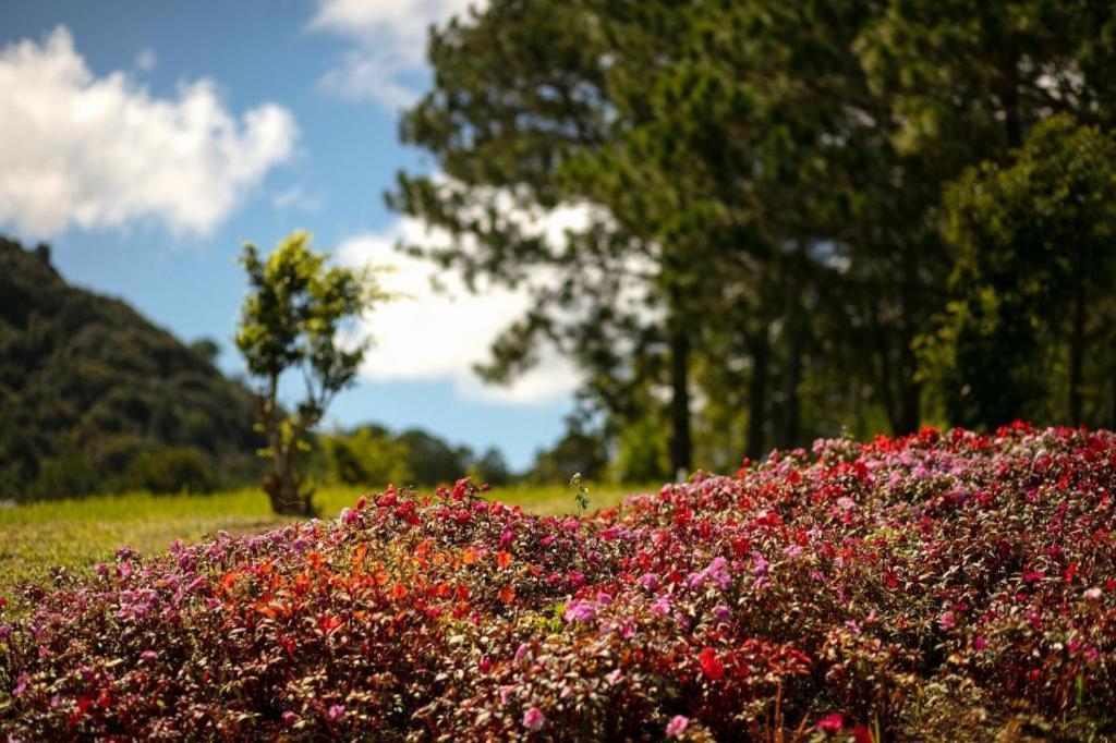 Sam Tuyen Lam Resort Da Lat Exterior foto